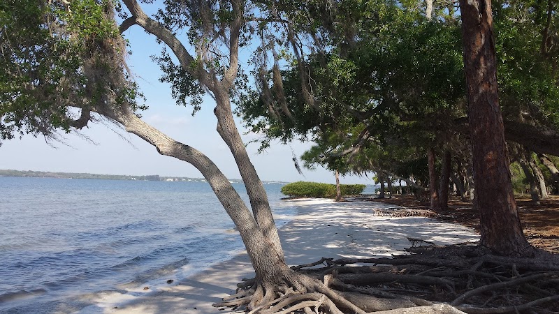Mobbly Bayou Beach Park photo 3