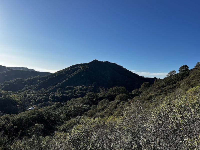 Photo of Sequoians Clothes-Free Club