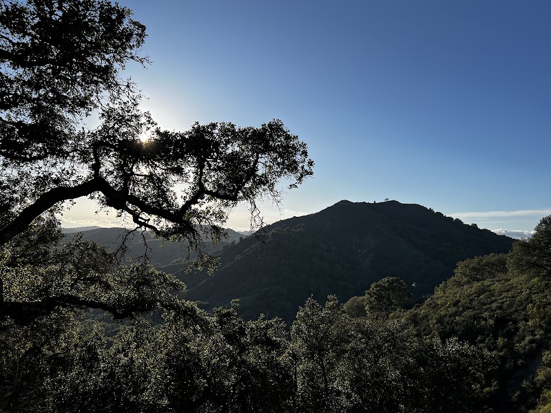Sequoians Clothes-Free Club photo 3