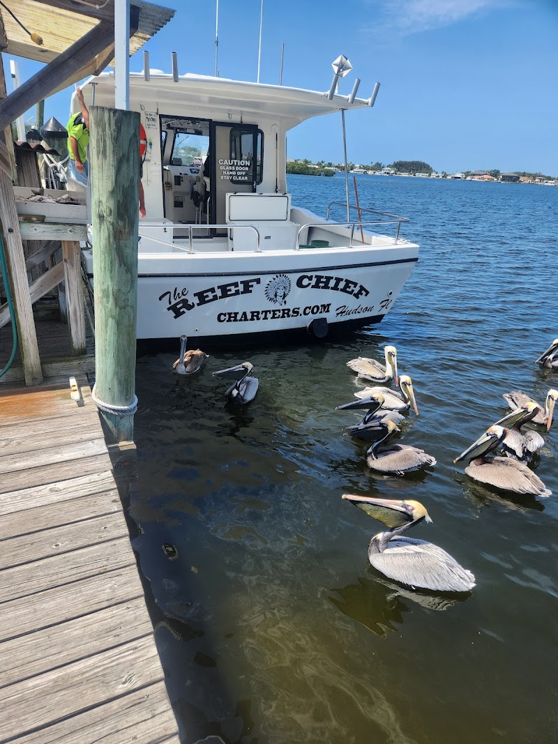 The Reef Chief Charters photo 5
