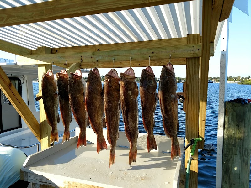 The Reef Chief Charters photo 2