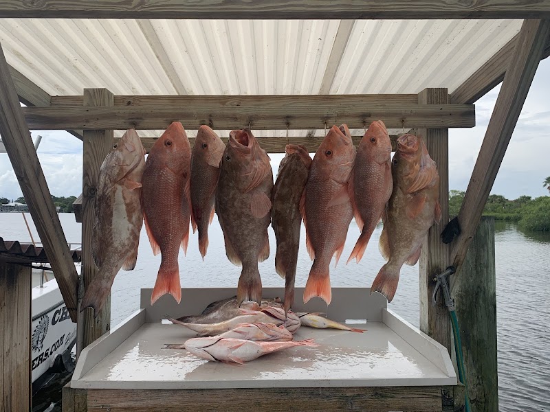 Photo of The Reef Chief Charters