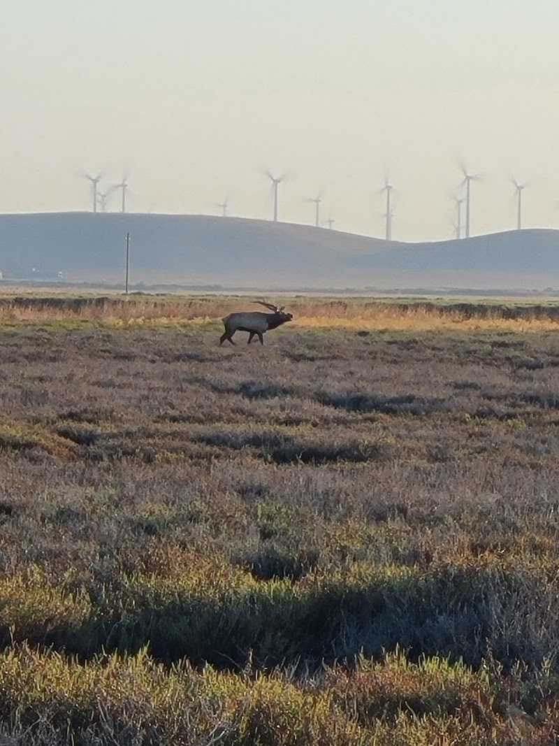 Grizzly Island Wildlife Area photo 4