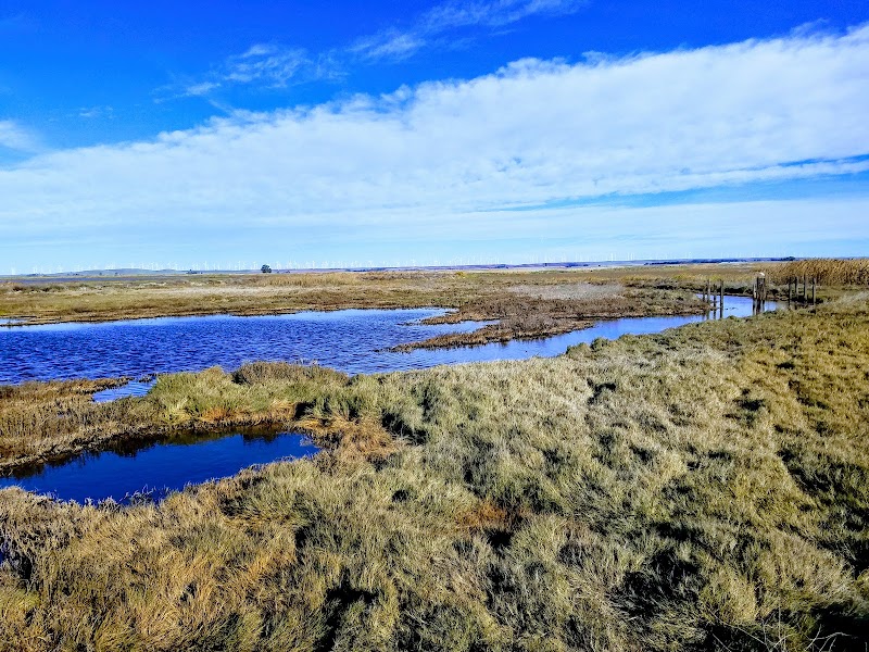 Grizzly Island Wildlife Area photo 3