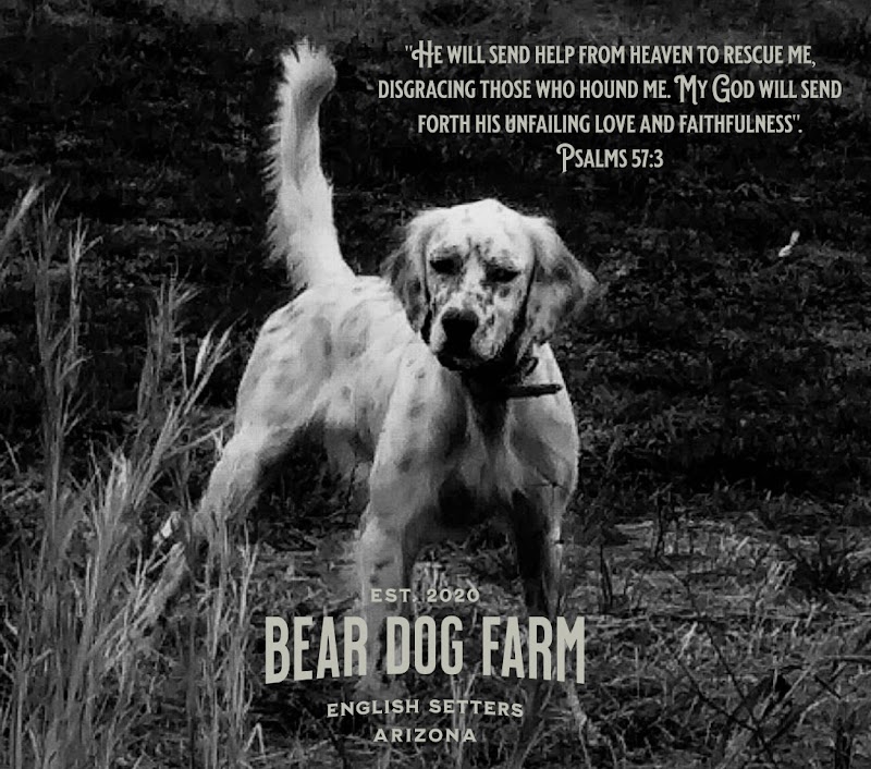 Bear Dog Farm- Your Upland Source photo 2