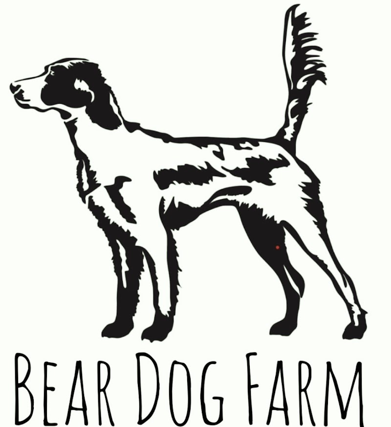 Bear Dog Farm- Your Upland Source photo 3