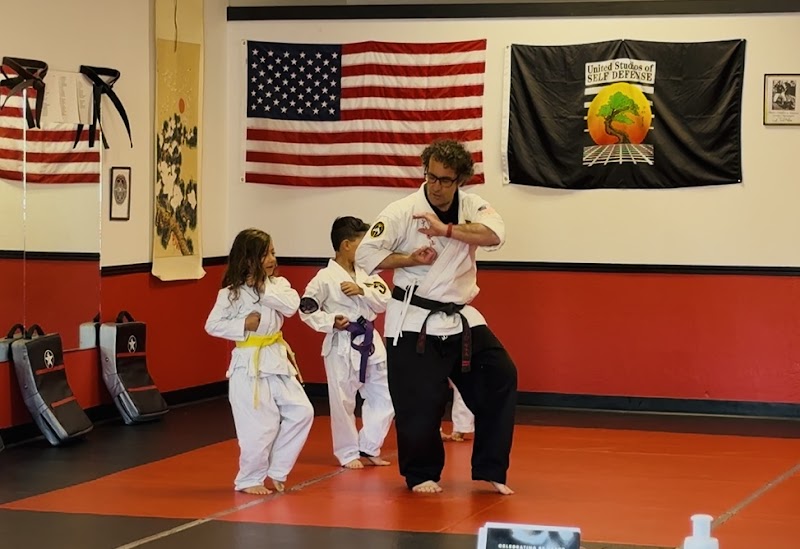 United Studios of Self Defense photo 2