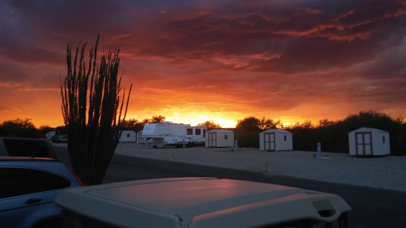 SKP Saguaro Co-Op of Arizona photo 4