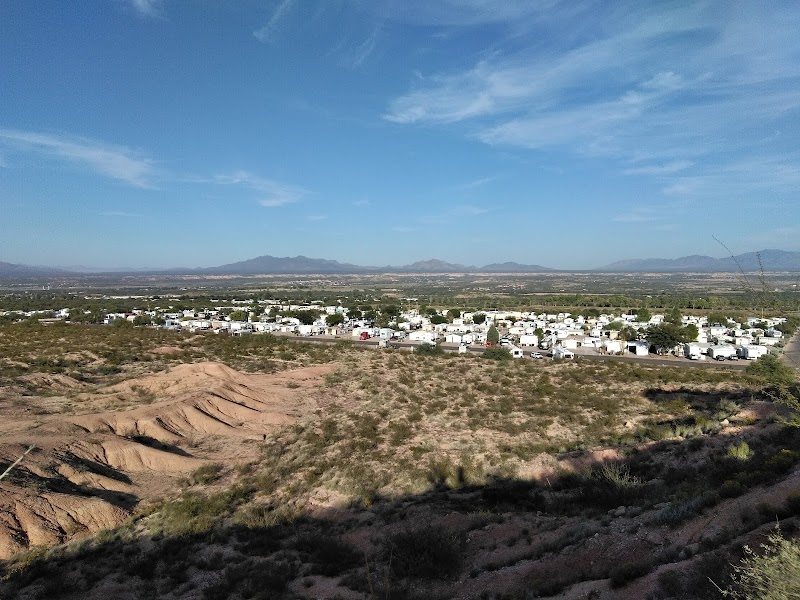 SKP Saguaro Co-Op of Arizona photo 3