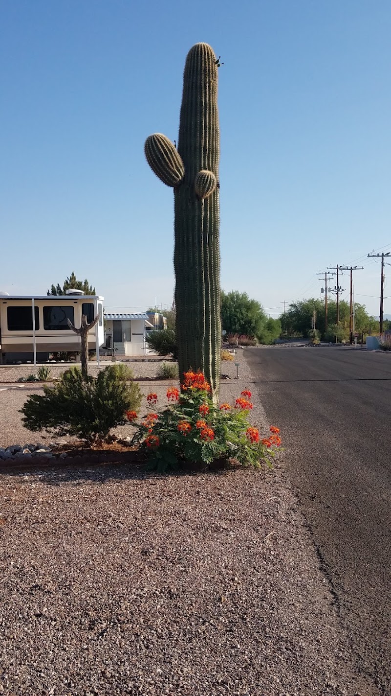 SKP Saguaro Co-Op of Arizona photo 5