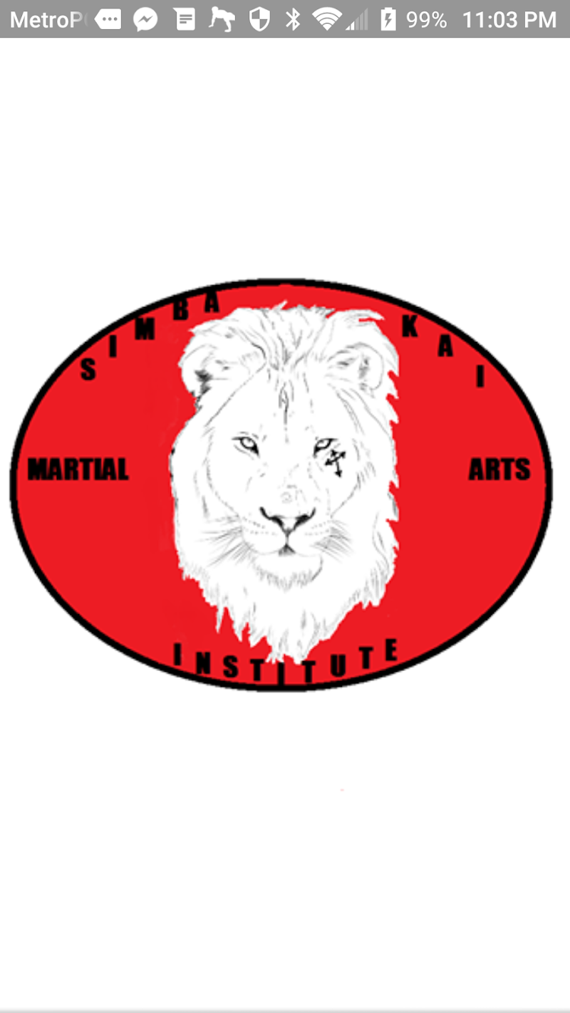 Photo of Simba Kai Martial Arts, Institute