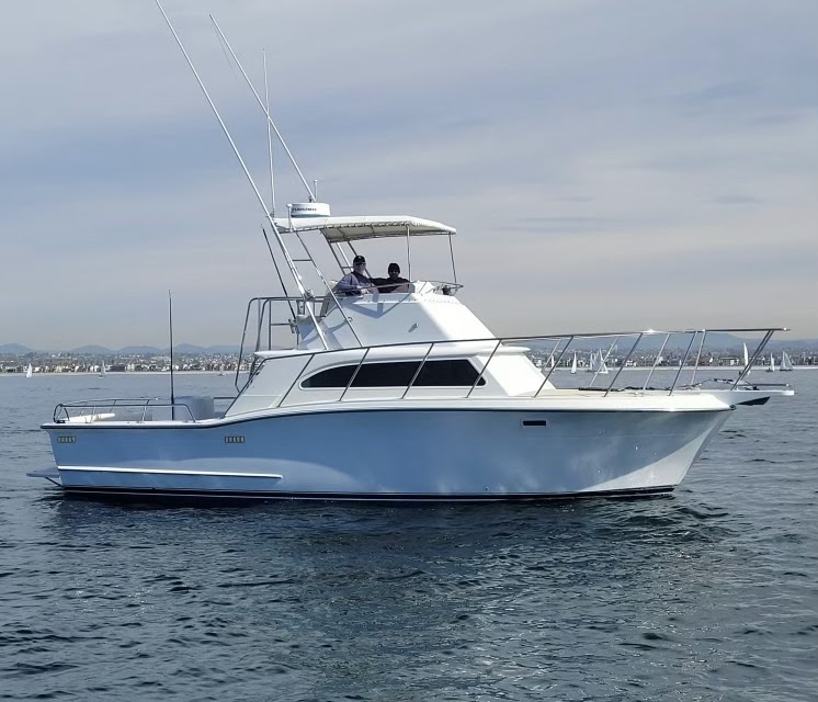 Fishing Charters Of San Diego photo 5
