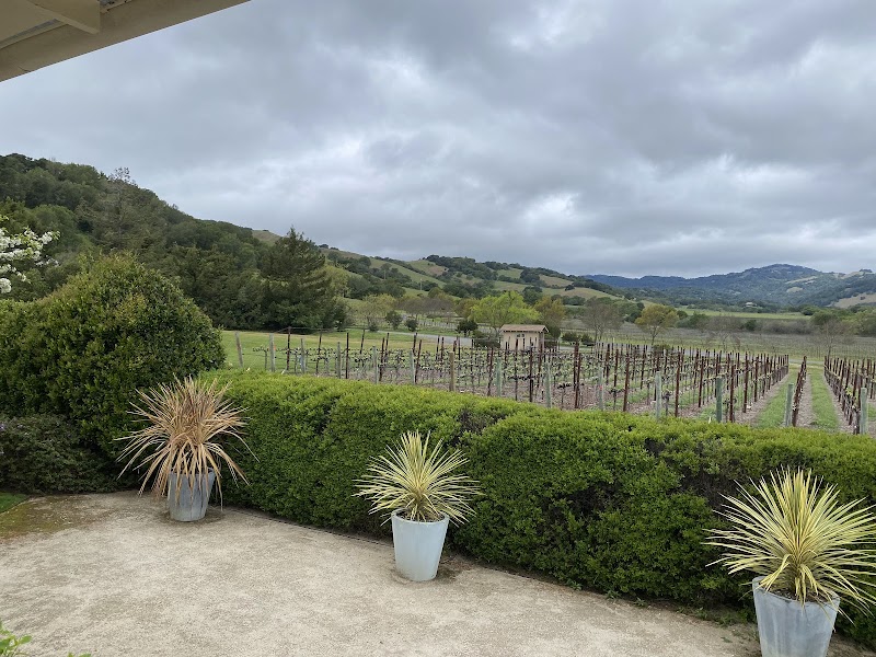 Dunstan Wines - Durell Vineyard photo 2