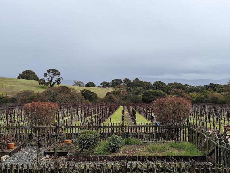 Dunstan Wines - Durell Vineyard photo 4