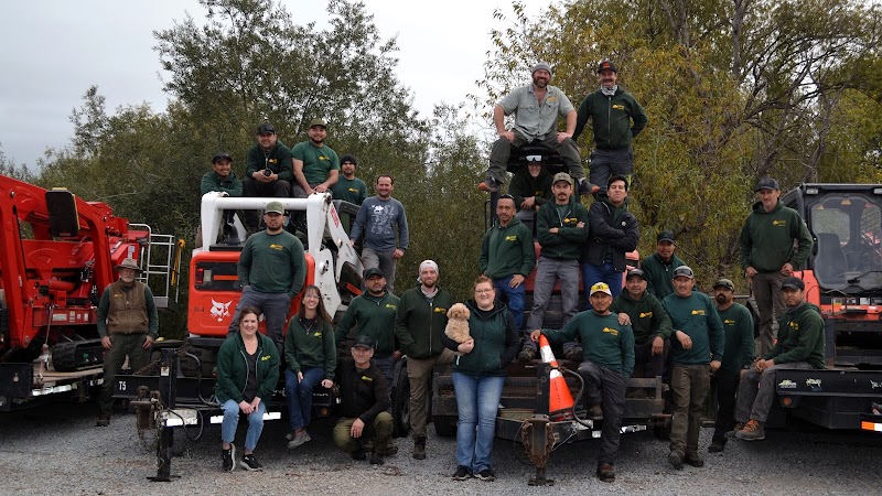 Photo of Sandborn Tree Service Inc