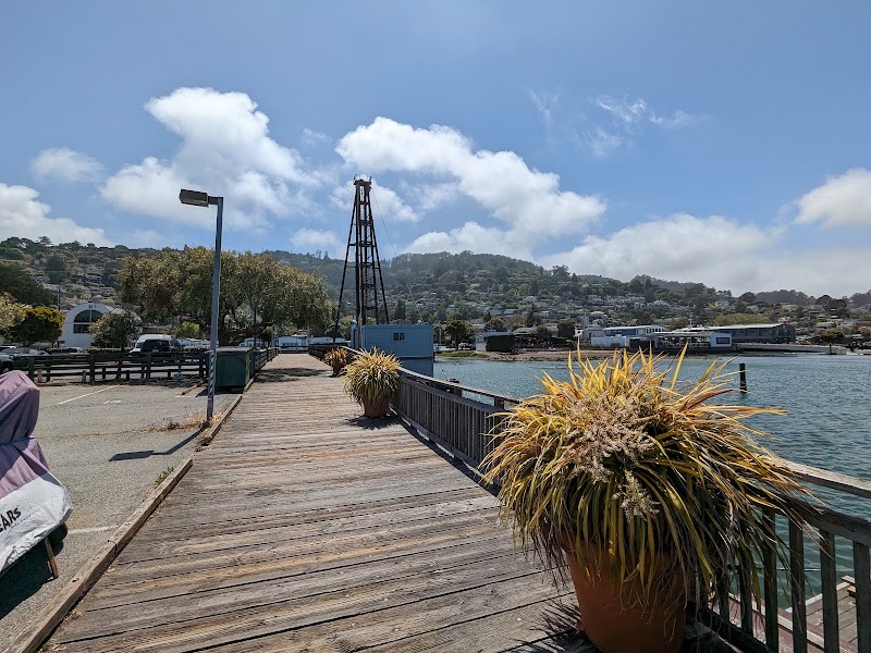 Pelican Harbour photo 2