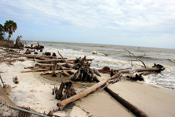 Clearwater Beach USA photo 5