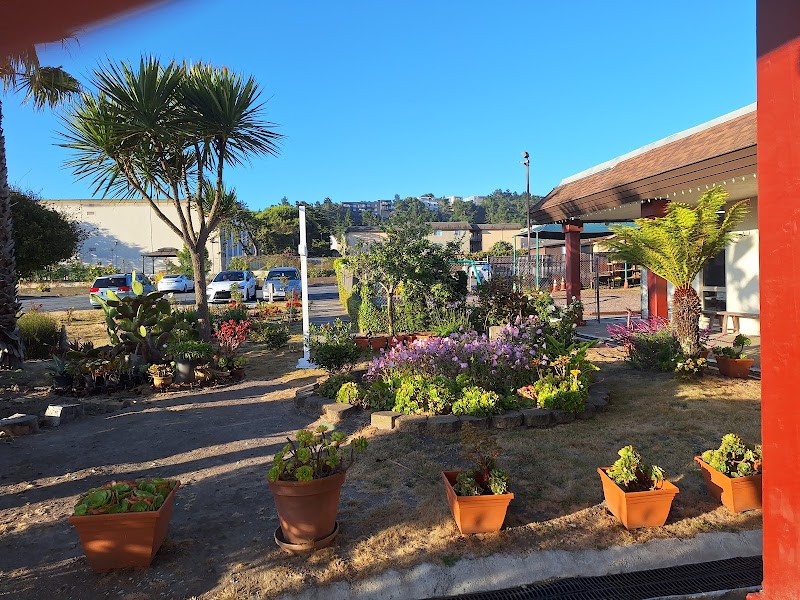 Daly City United Methodist Church photo 5