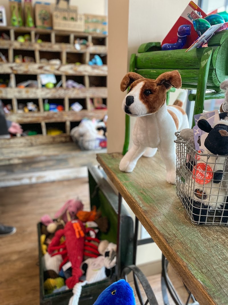Mike's Dog Store photo 5
