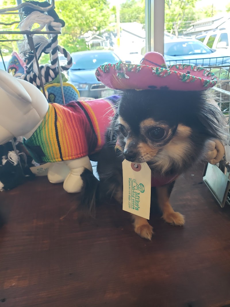 Mike's Dog Store photo 3