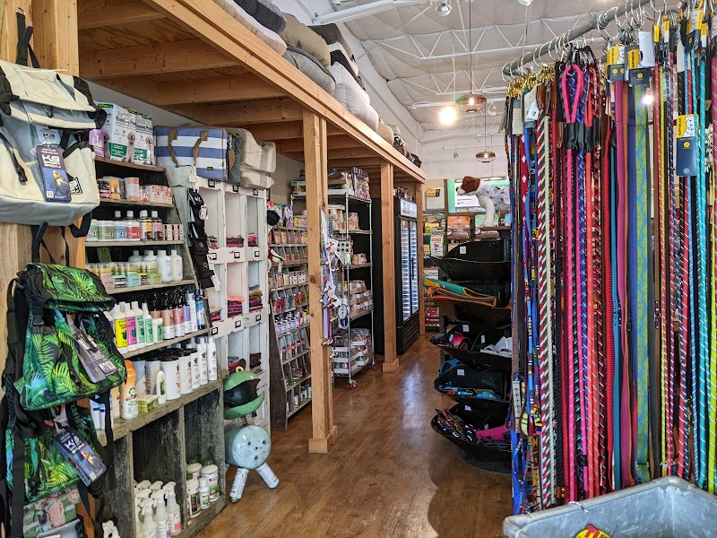 Mike's Dog Store photo 2