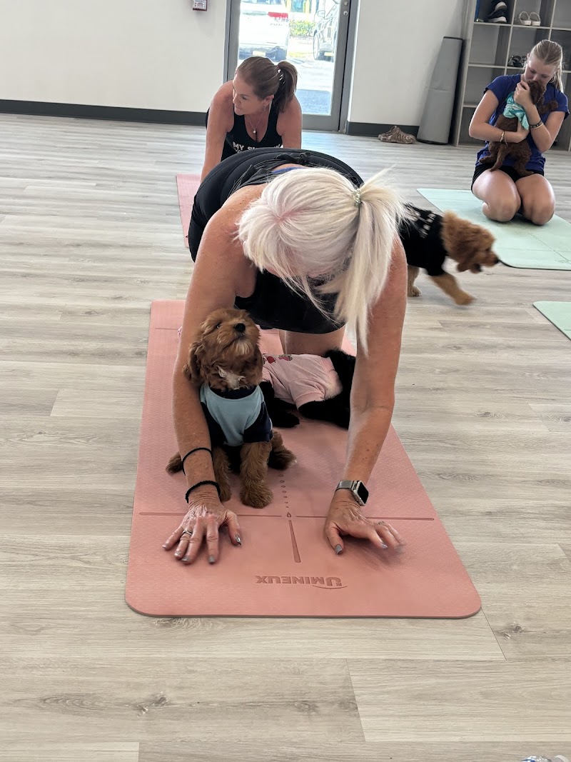 Pawsitively Pilates photo 5