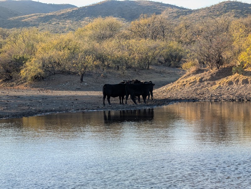 Photo of First Pond