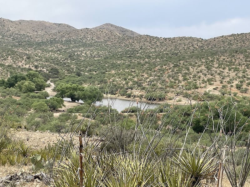 First Pond photo 4