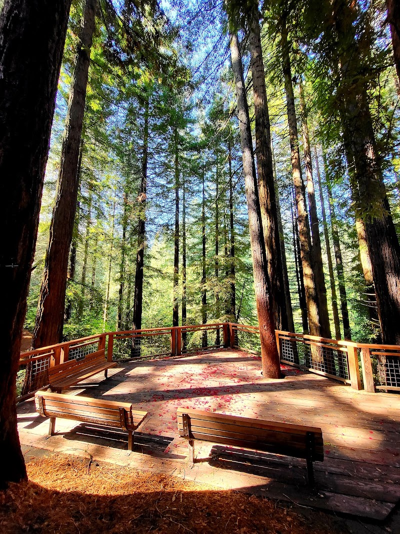 Redwood Observation Deck photo 3