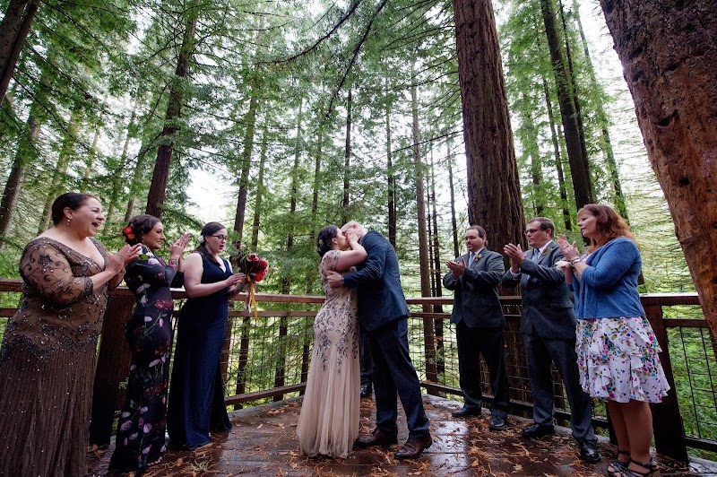 Redwood Observation Deck photo 2