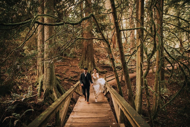 Photo of Redwood Observation Deck