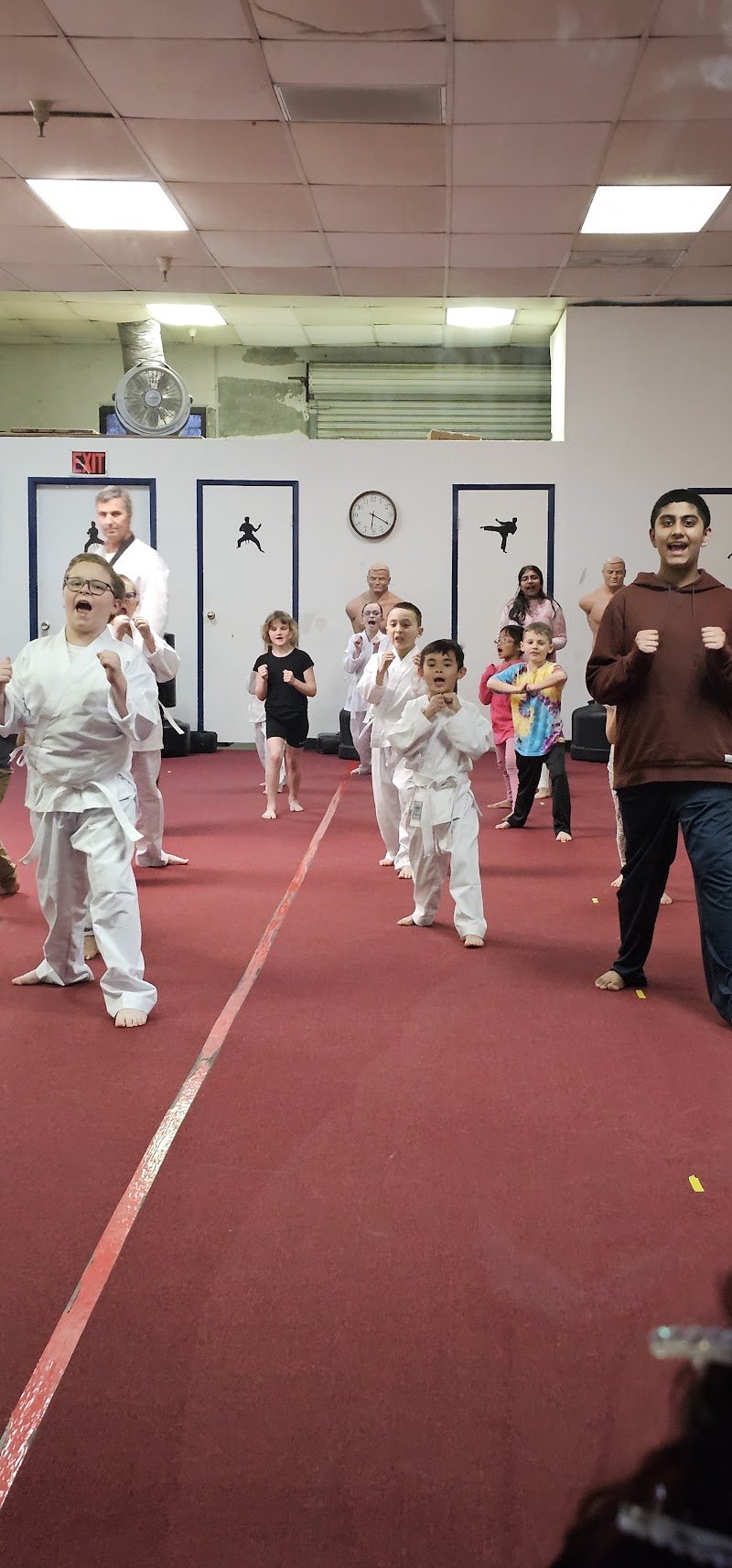 Hamlet's Taekwondo Academy photo 3