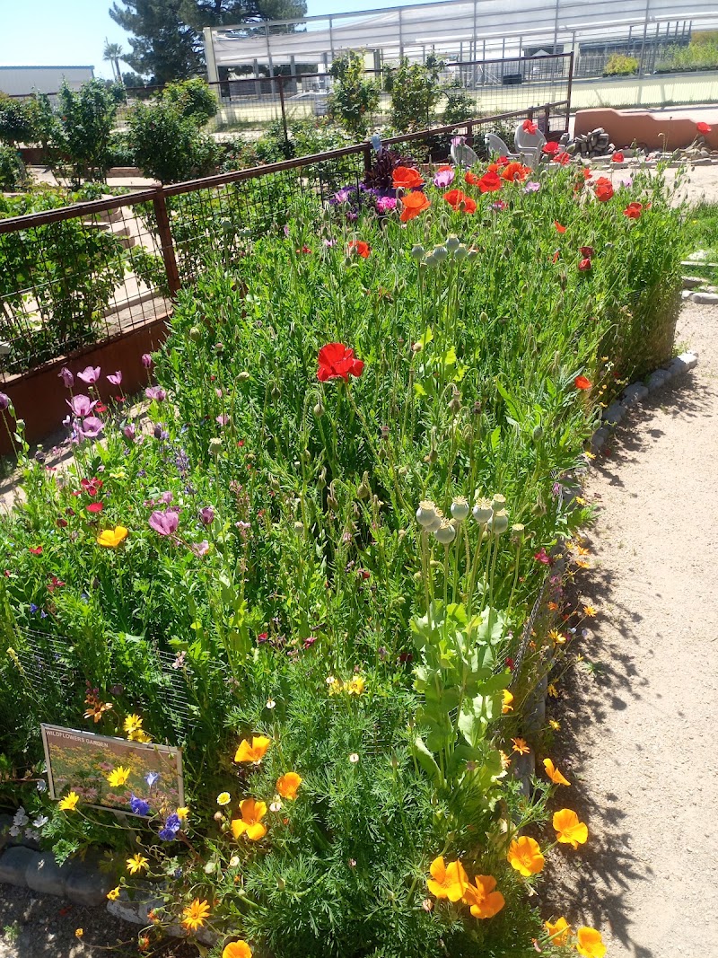 Photo of Pima County Master Gardener Demonstration Gardens