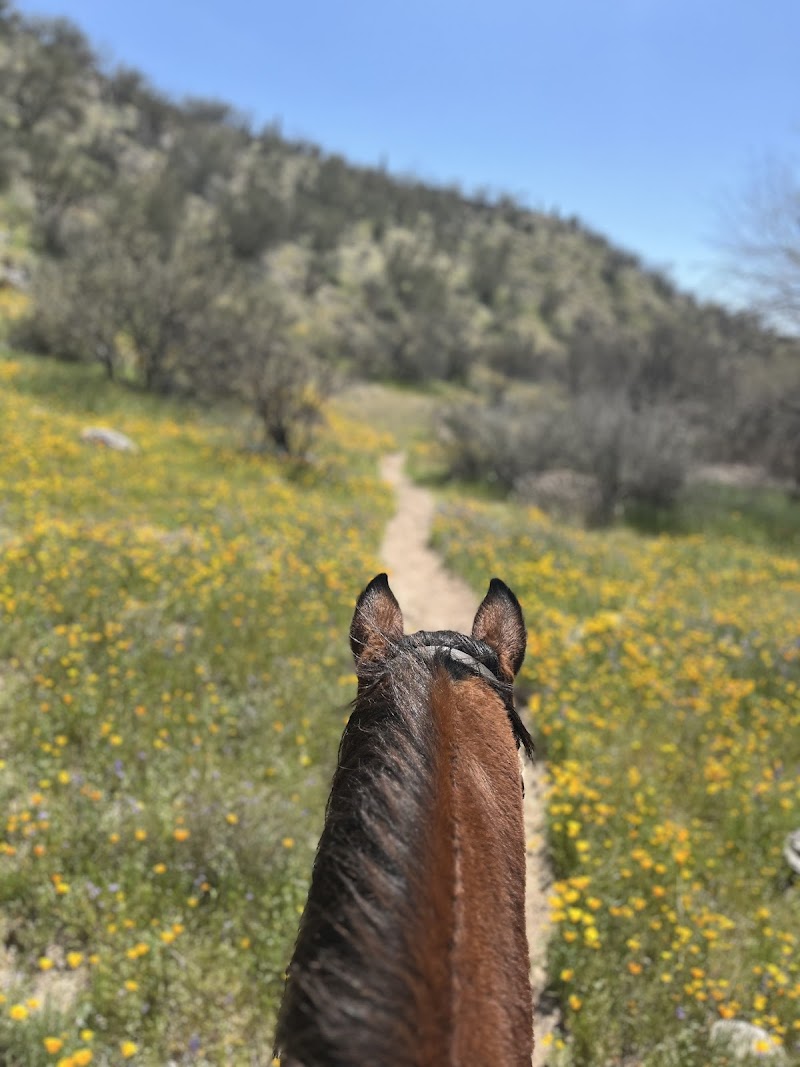 Rolling Hills Riding Academy photo 5