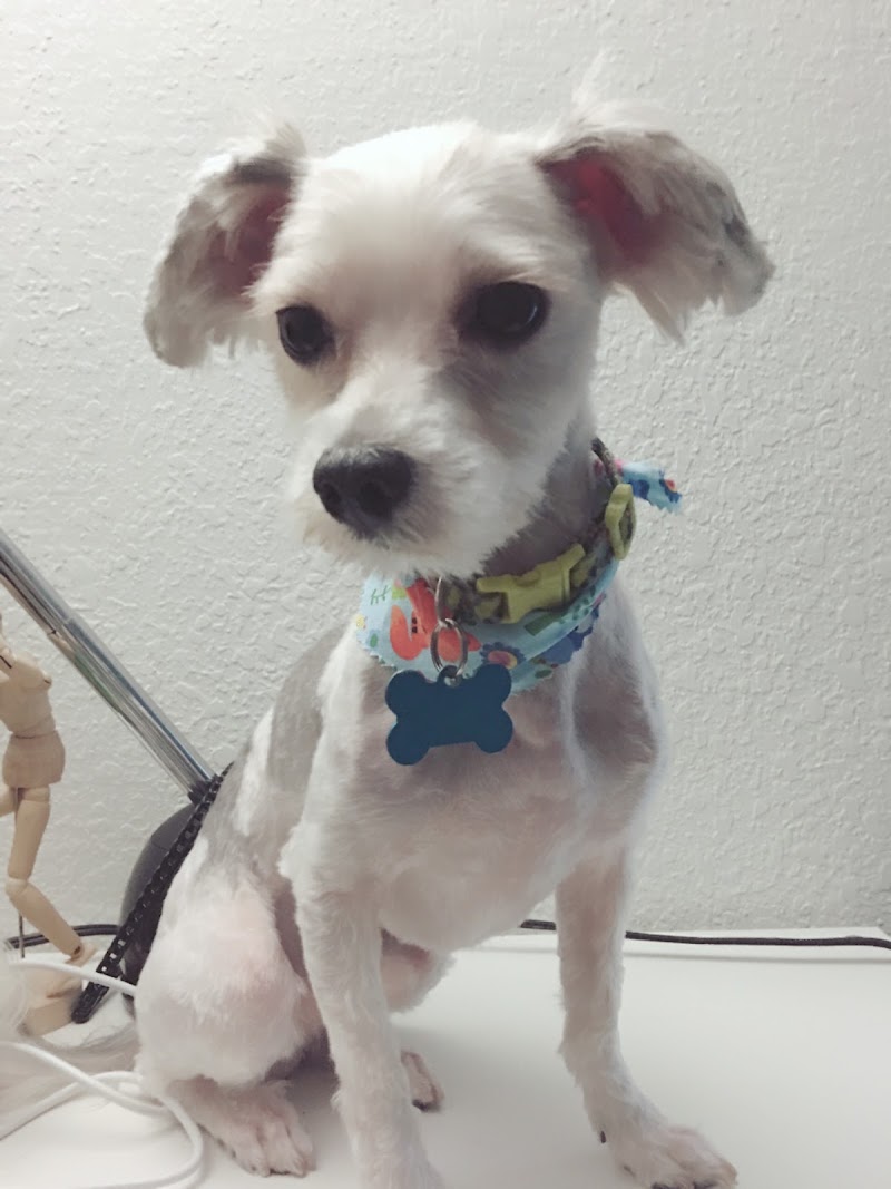 Nature Coast Pet Spa photo 3