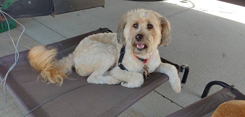 Nature Coast Pet Spa photo 4