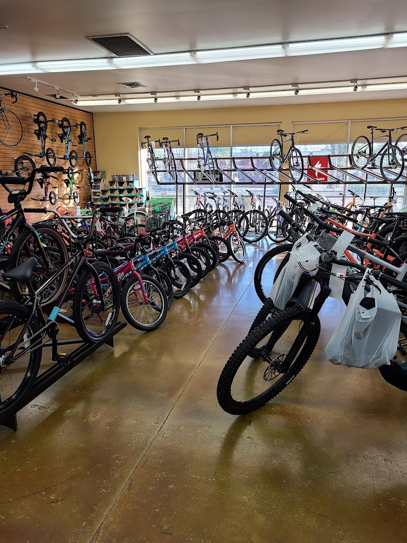 Landis Cyclery photo 2