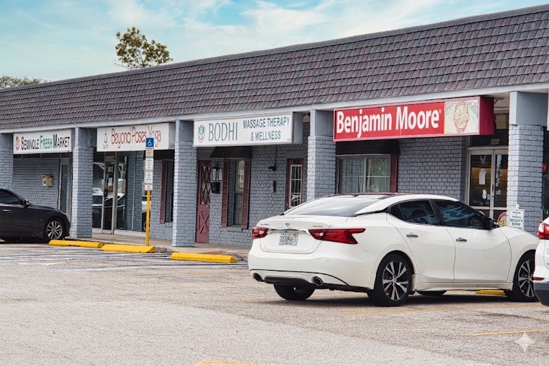 Bodhi Massage Therapy & Wellness- Seminole photo 5