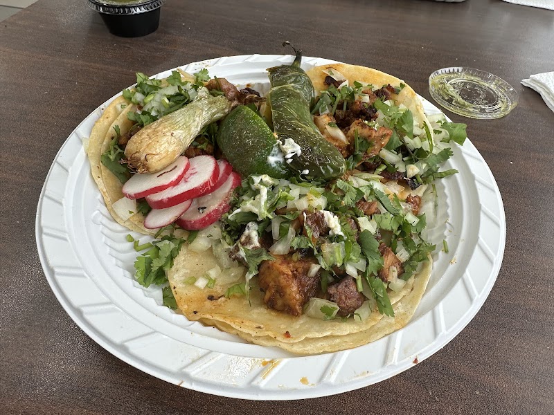 Taqueria el Cabrito photo 2