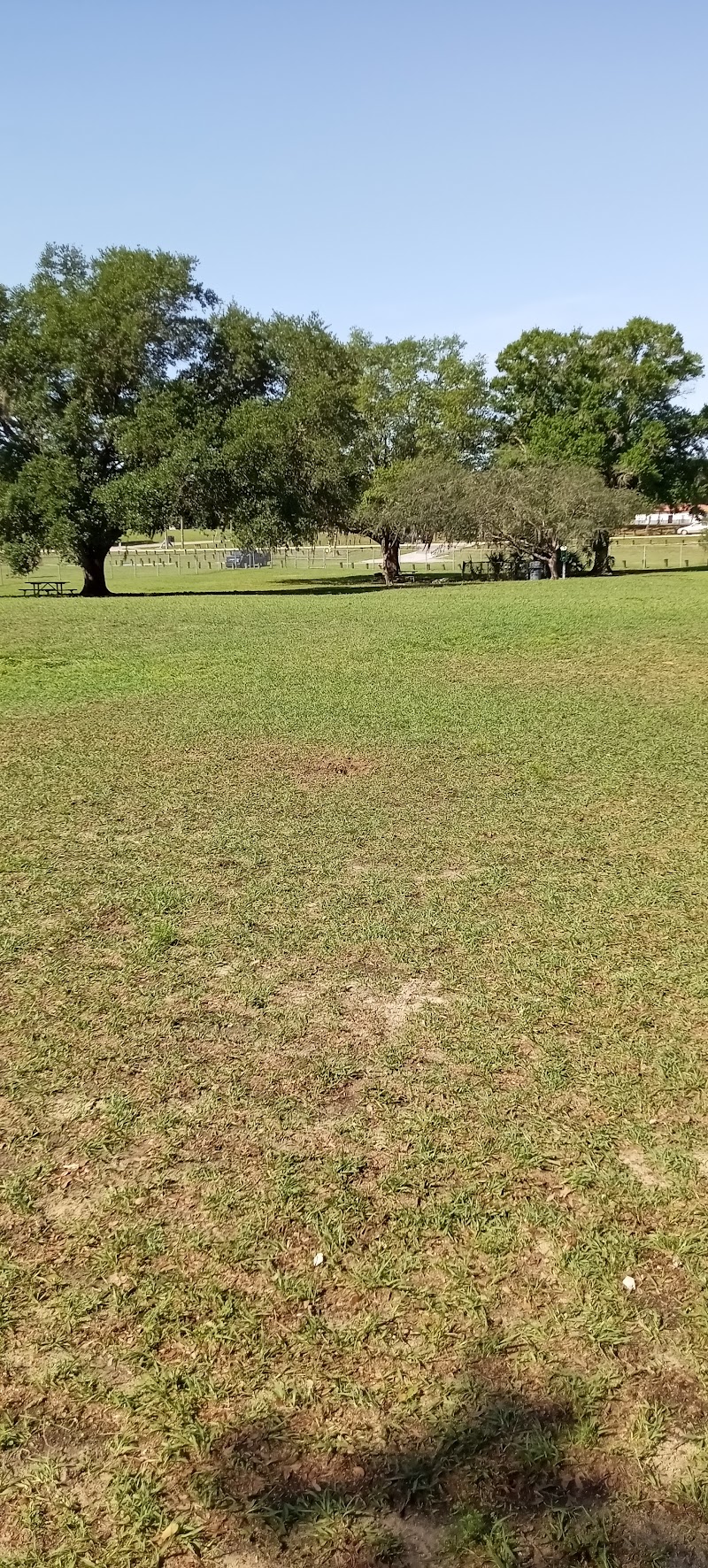 Mango Recreation Center photo 2
