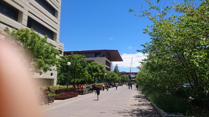 Neurology & Neurological Sciences | Stanford Medicine photo 5