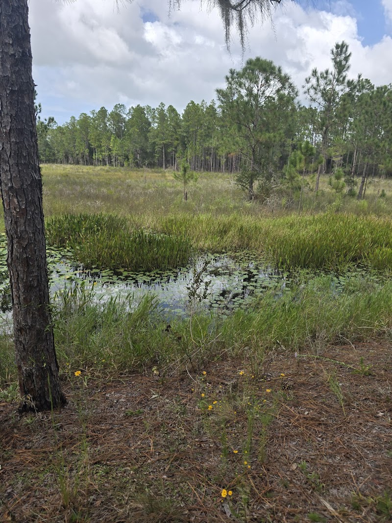 Gator Hole photo 2
