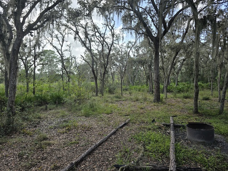 Gator Hole photo 5