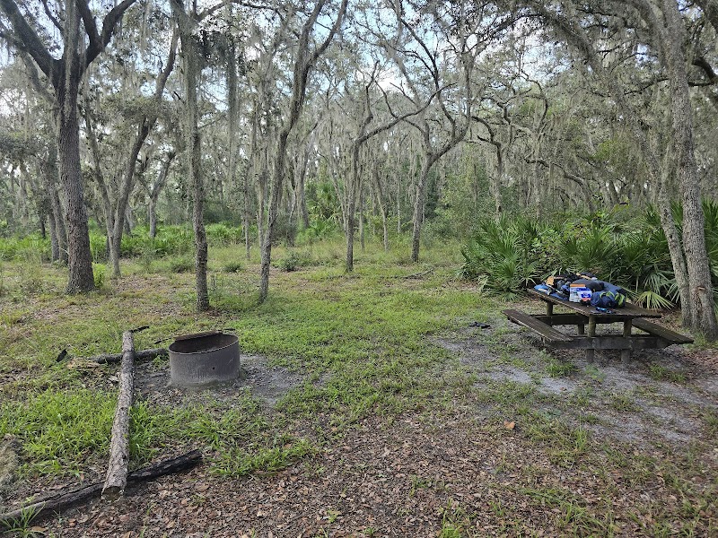 Photo of Gator Hole