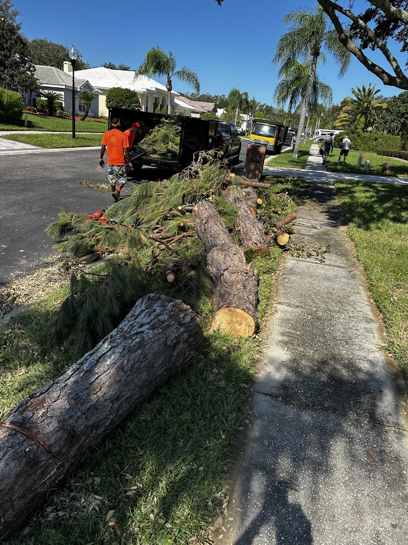 YNT Moving & Hauling photo 2