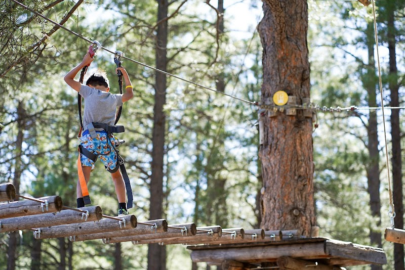 Flagstaff Extreme Adventure Course photo 2