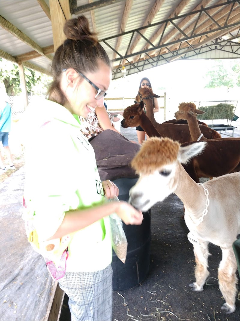 Golden Spirit Alpaca Ranch photo 2