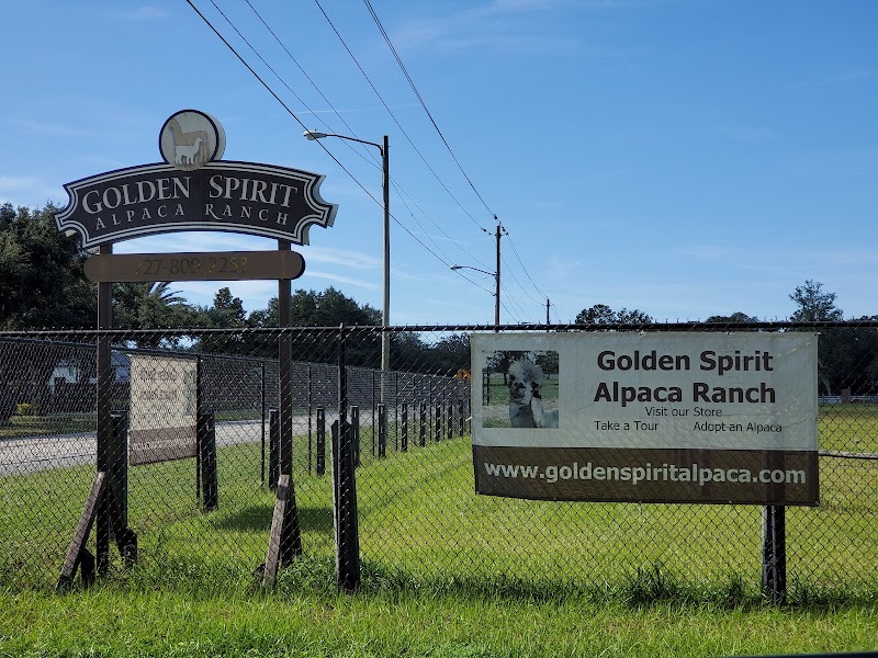 Golden Spirit Alpaca Ranch photo 4