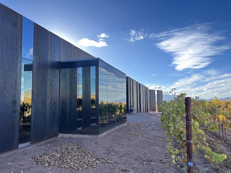 Los Milics Vineyards photo 3