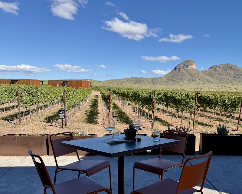 Los Milics Vineyards photo 2